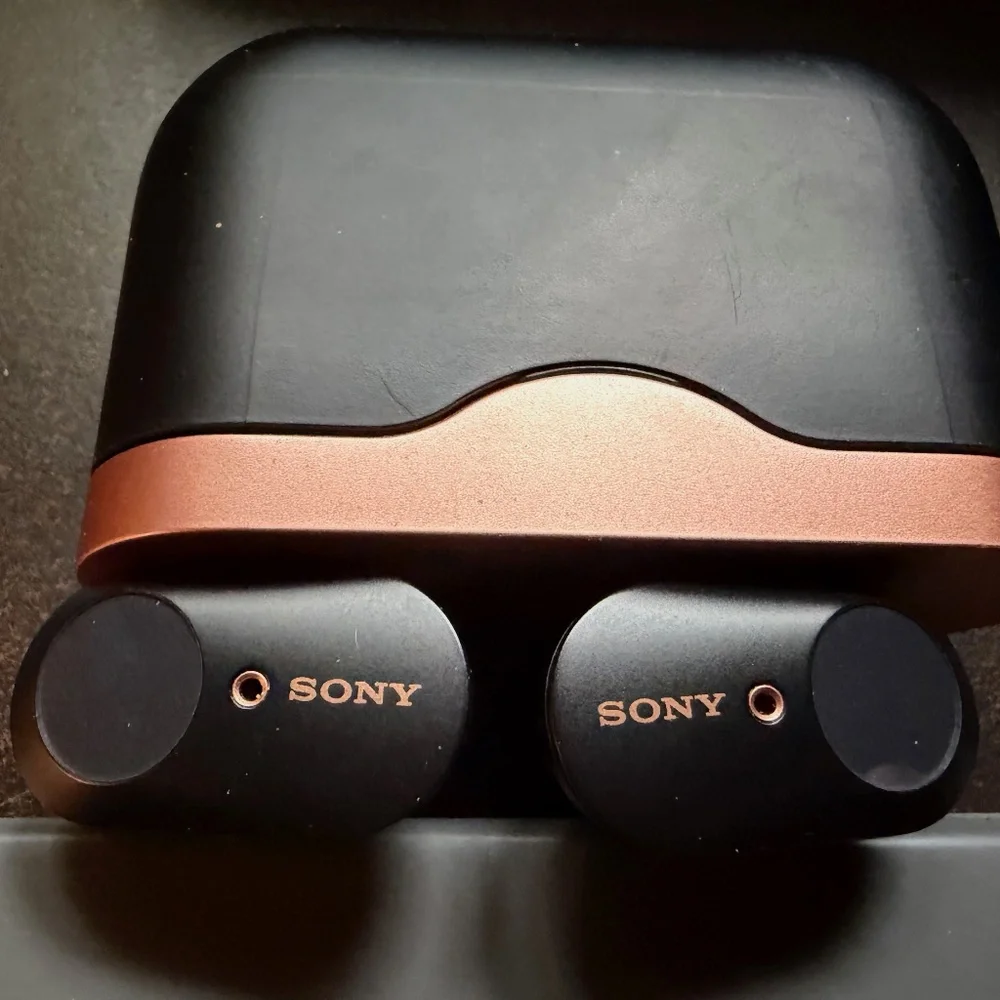 Sony WF-1000XM3